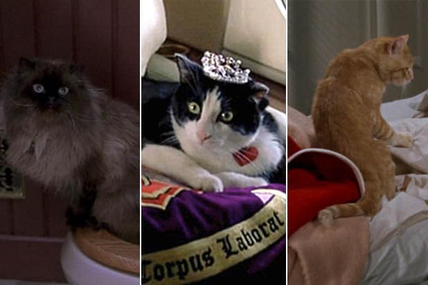 10 Scene-Stealing Cats in Movies, From ‘Breakfast at Tiffany’s’ to ‘Captain Marvel’ (Photos)