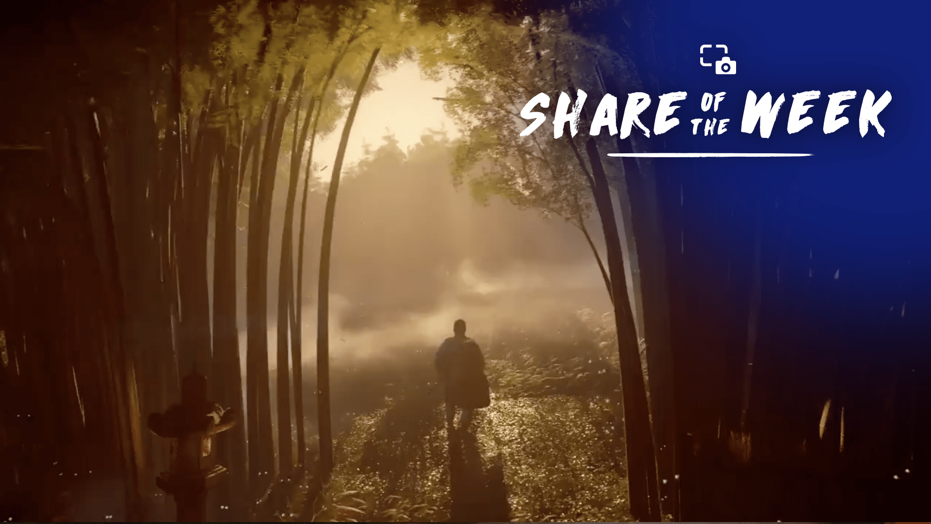 Share of the Week: Ghost of Tsushima – Motion