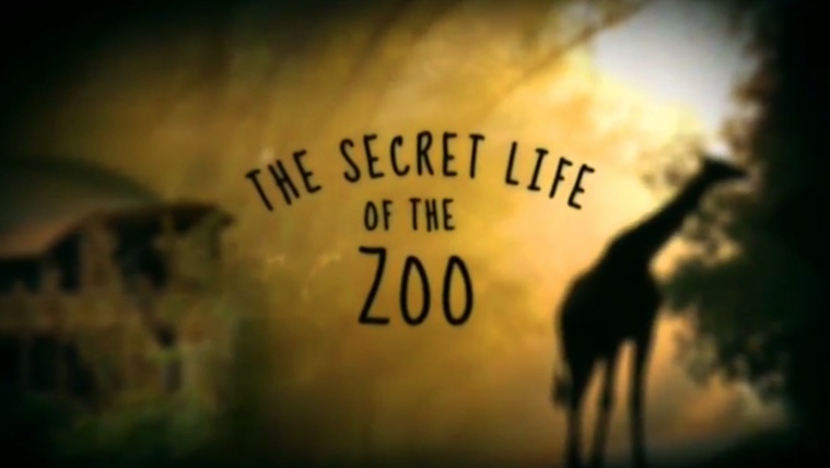 The Secret Life of the Zoo: Season Five Coming to Animal Planet