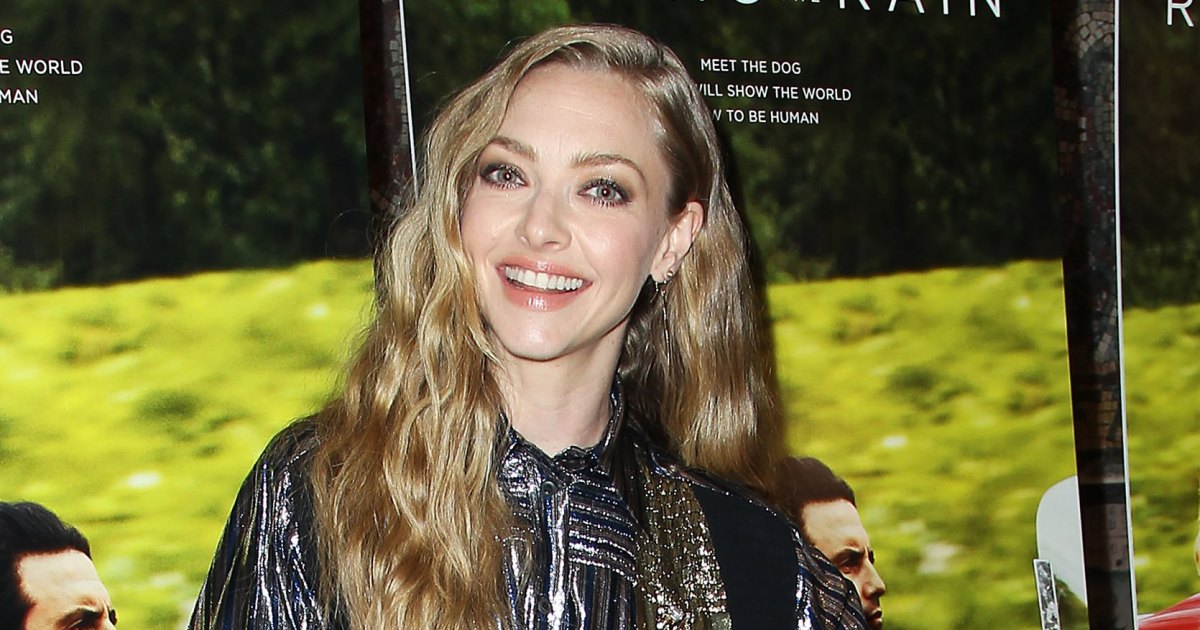 Amanda Seyfried Shares Throwback Baby Bump Photo After Secretly Giving Birth: ‘The Before’