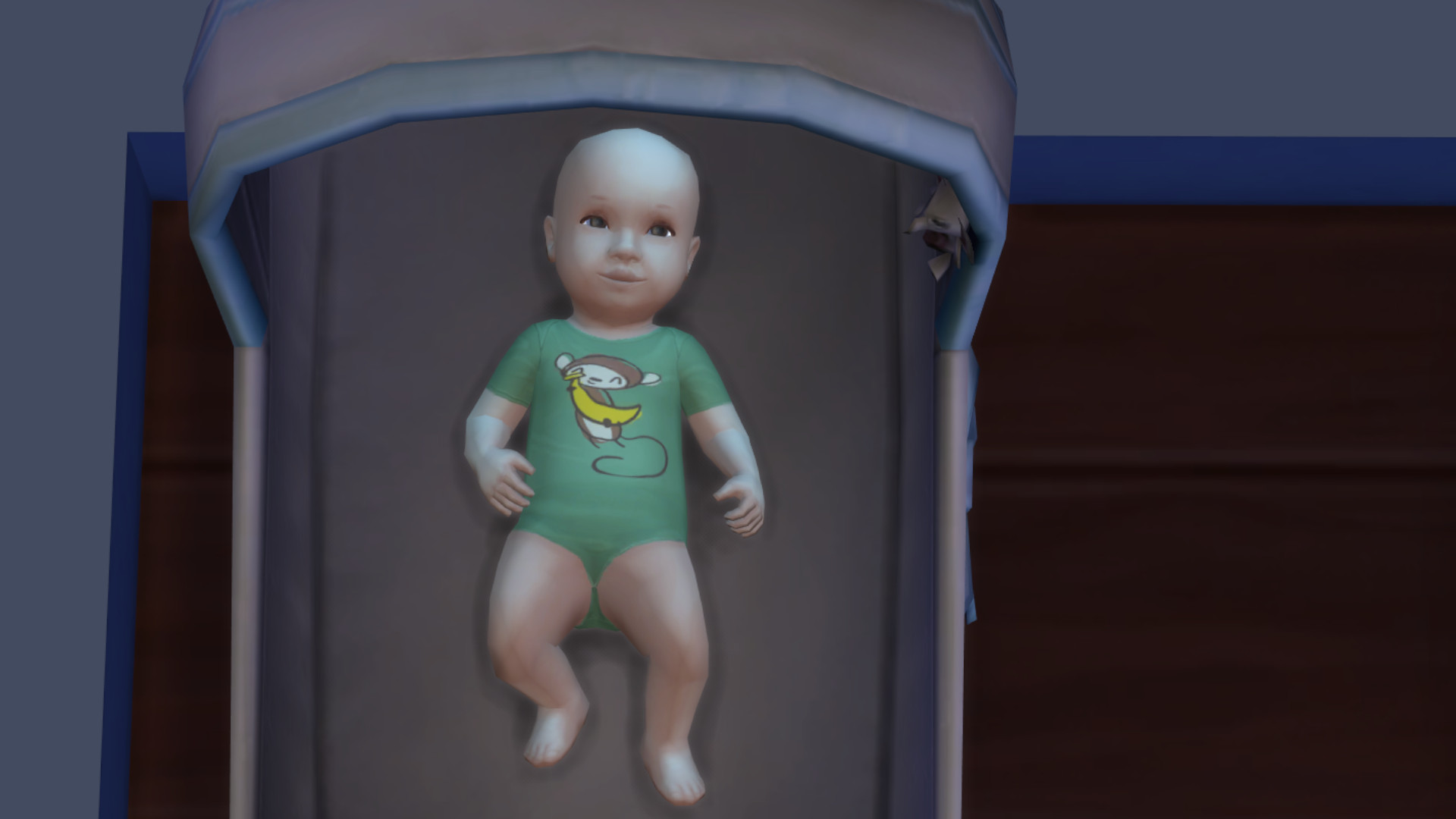 “Cars, babies, farms, and bunk beds” will not be part of the next Sims 4 expansion