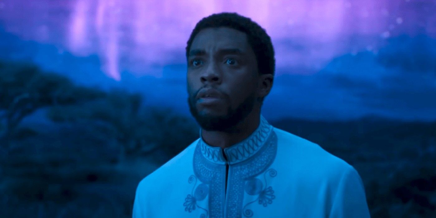 Chadwick Boseman Worried Black Panther 2 Would Not Happen