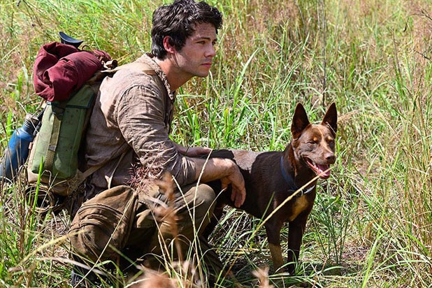 ‘Love and Monsters’ Trailer: Dylan O’Brien Embraces the Apocalypse for a Girl (Video)