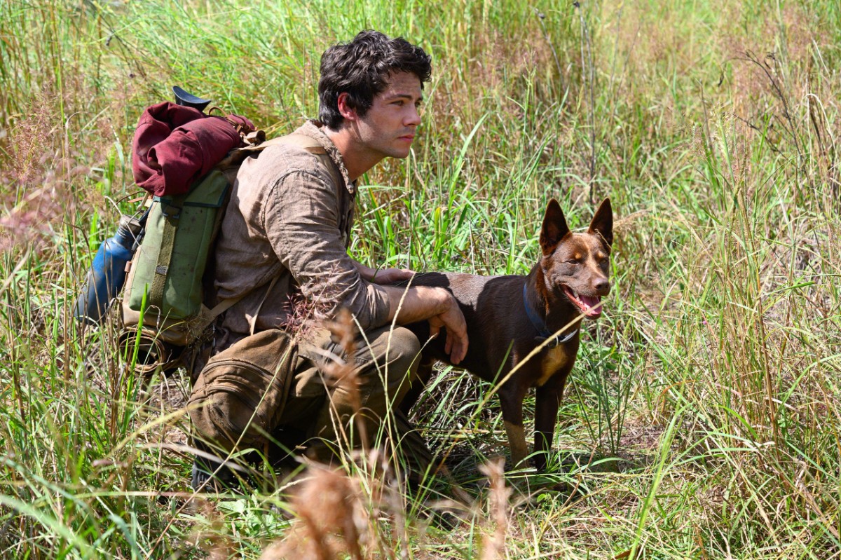 ‘Love And Monsters’ Trailer: Dylan O’Brien Fights Monsters To Reunite With His Girlfriend