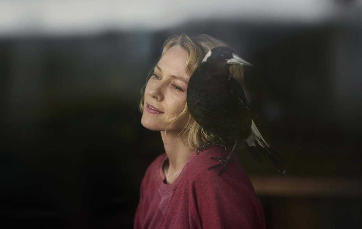 ‘Penguin Bloom’: Naomi Watts Succumbs To Ableist Tropes & Overwrought Metaphor In Glendyn Ivin’s Film [TIFF Review]