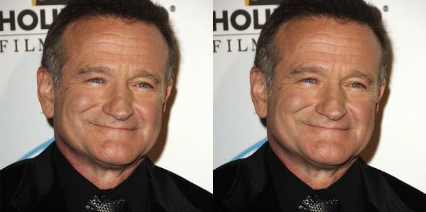 ‘Robin’s Wish:’ Meet Robin Williams’s Widow, Susan Schneider Williams