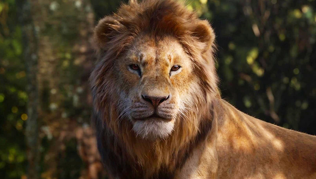 The Lion King 2 Set by Disney with Director Barry Jenkins