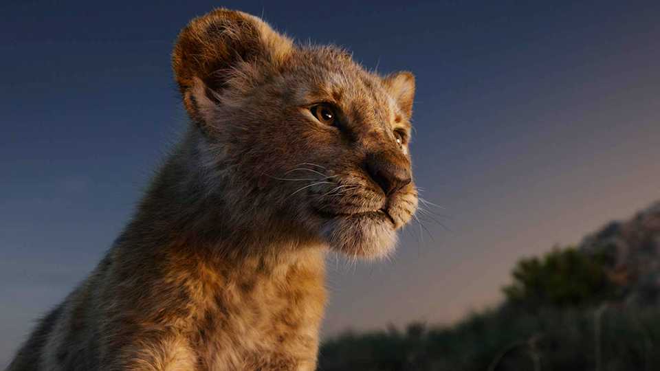 The Lion King Sequel Coming From Moonlight Director Barry Jenkins
