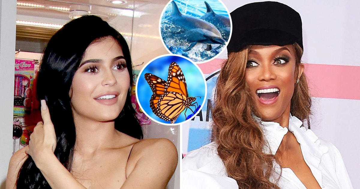Celebrities’ Biggest Phobias: Kylie Jenner, Tyra Banks and More