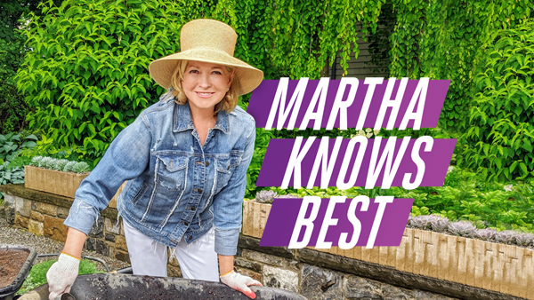 Martha Knows Best: Season Two; Martha Stewart Series Renewed on HGTV