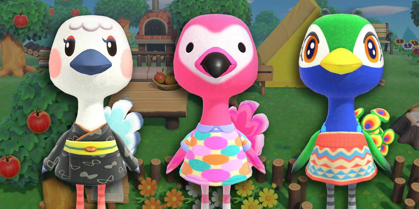 The Best and Worst Ostrich Characters in Animal Crossing: New Horizons