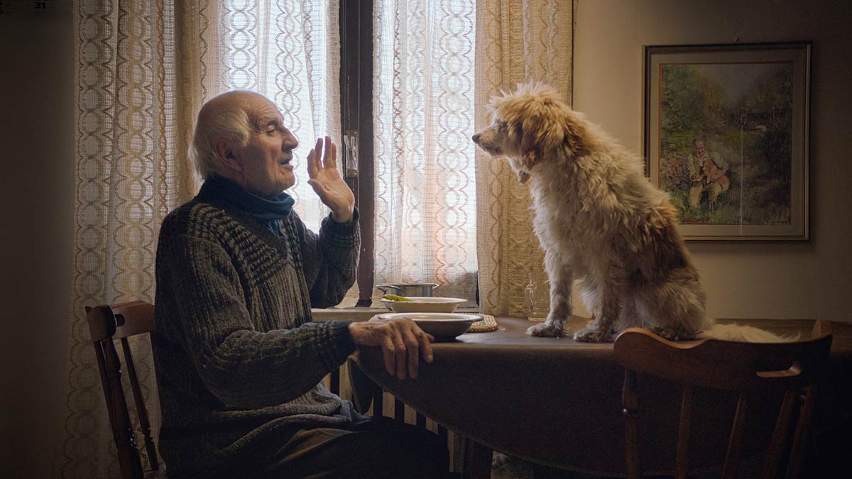‘The Truffle Hunters’: A Beautiful, Immersive Search For Flavor In The Forests Of Italy [NYFF Review]
