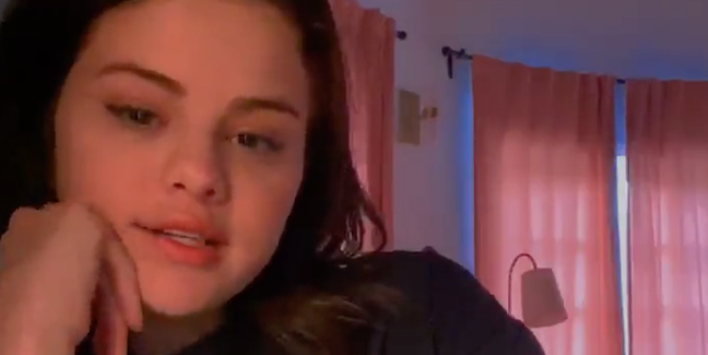 Timothée Chalamet and Selena Gomez Made Waiting in Line to Vote Fun With This Livestream Conversation