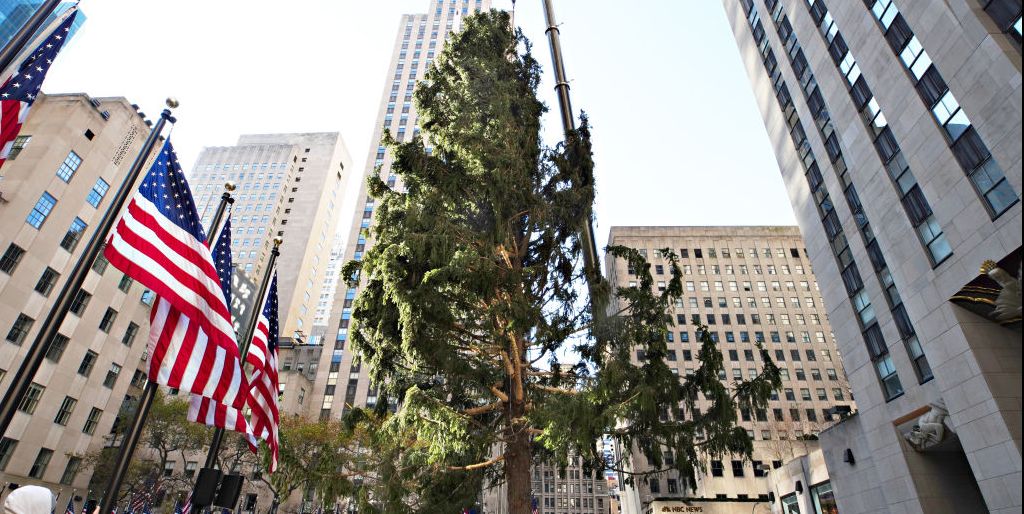 Actually, People’s Sexiest Man Alive Is the Depressed Rockefeller Center Christmas Tree