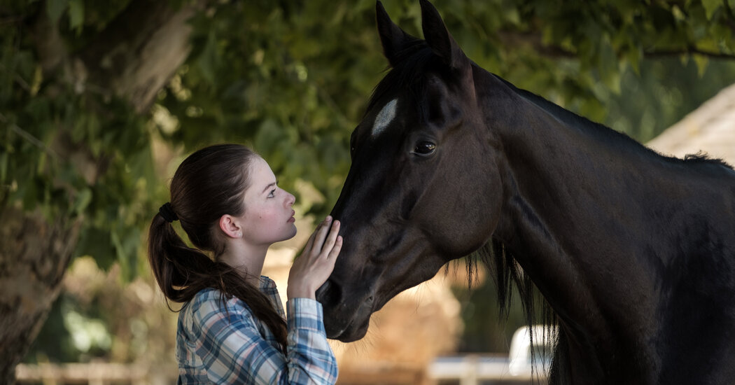 ‘Black Beauty’ Review: A Melodrama in Need of Rougher Edges