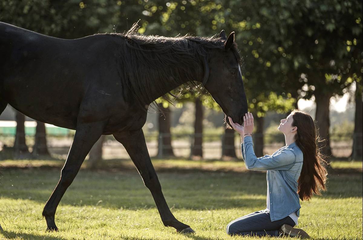 Black Beauty Review: Disney+ Movie Leans Into the Horse Girl Tropes