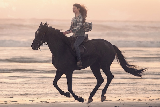 ‘Black Beauty’ Trailer: A Horse Saves Mackenzie Foy’s Life in Disney+ Film (Video)