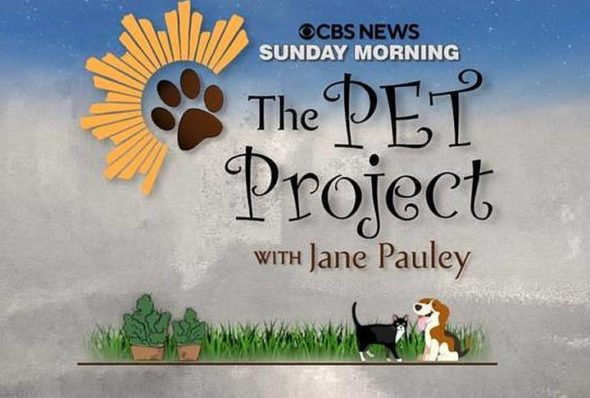 CBS Sunday Morning: Series to Air Pet Project Special in Primetime
