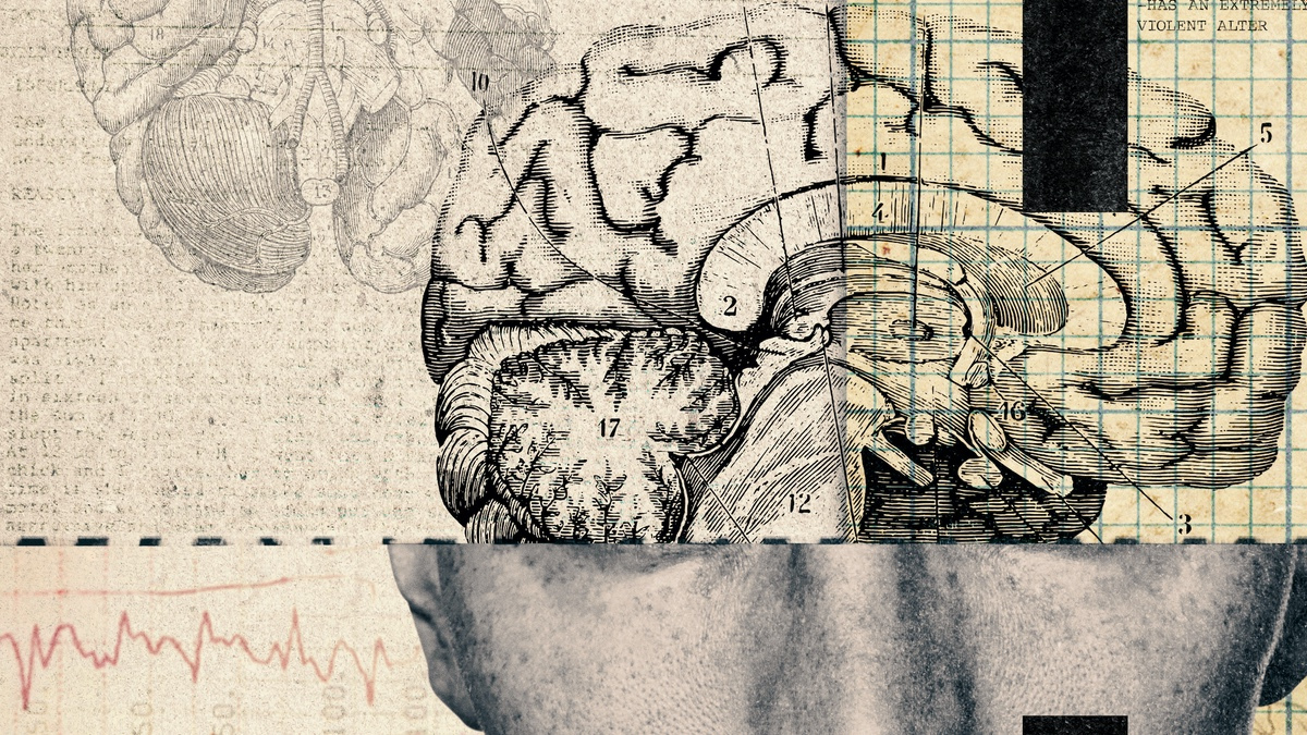 Crazy, Not Insane Review: HBO Serial Doc Examines Haunted Minds