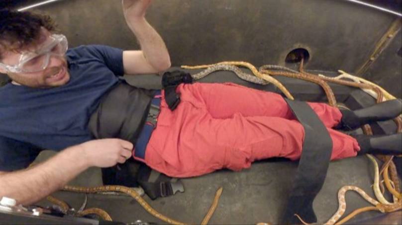 I’m A Celebrity Bosses Defend Use Of Animals Following RSPCA’s ‘Serious Concerns’