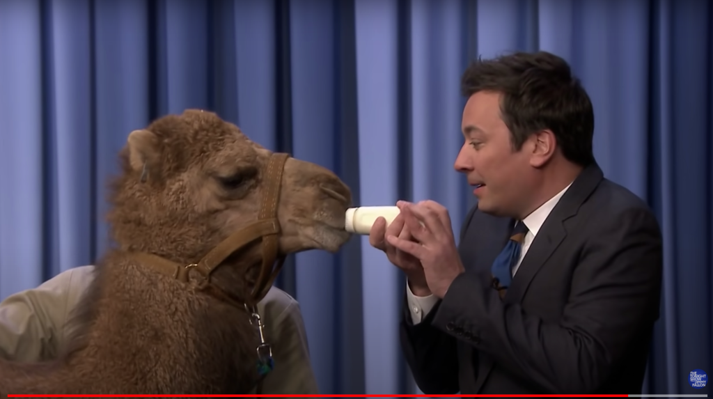 NBC Extends Jimmy Fallon’s ‘Tonight Show’ Contract
