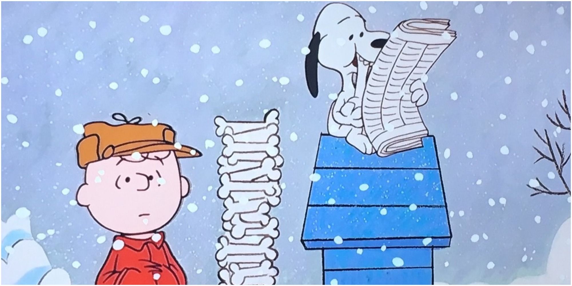 Sad-Looking Rockefeller Center Christmas Tree Compared To Charlie Brown’s