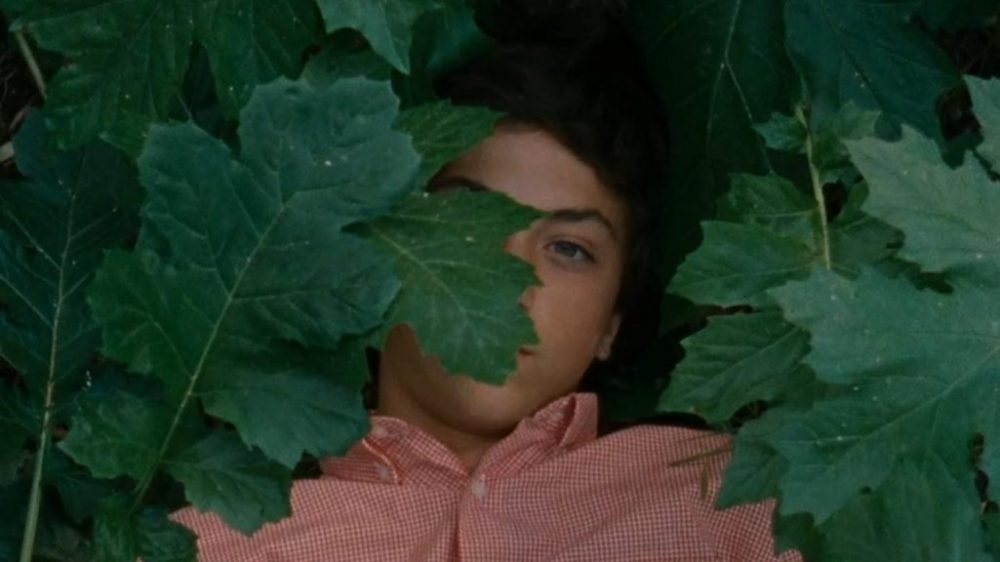 ‘The Metamorphosis of Birds’ Review: Bewitching Doc-Memoir Hybrid of Metaphors, Memories and Magical Realism