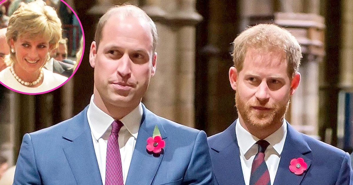 Princes William and Harry Are Demanding Answers About Diana’s 1995 ‘Panorama’ Interview