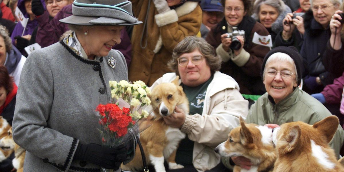 Queen Elizabeth Is Reportedly Mourning the Loss of Her Dog, Vulcan