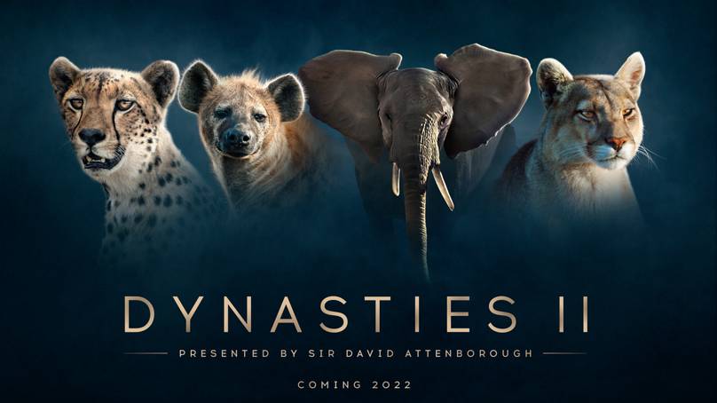 Sir David Attenborough’s Dynasties Is Returning To BBC For Second Series