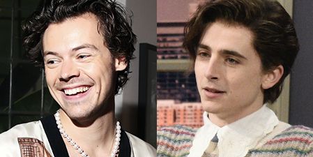 Timothée Chalamet Played Harry Styles on SNL and Twitter Cannot Cope
