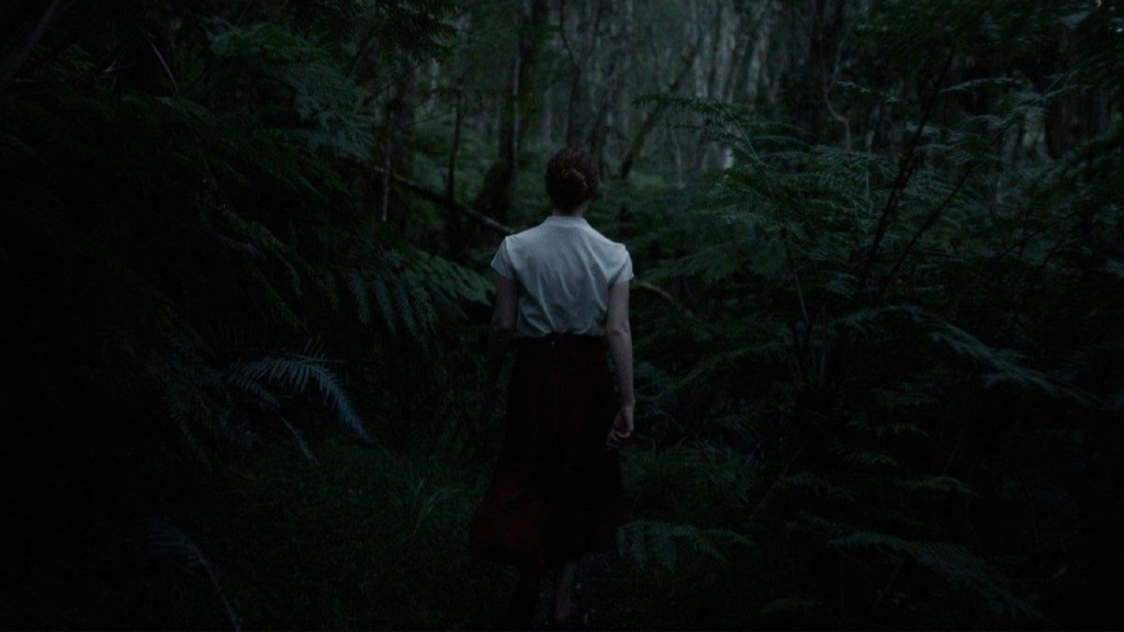 ‘Toorbos’ Review: In South Africa’s Handsome, Stirring Oscar Submission, a Young Woman Speaks For the Trees