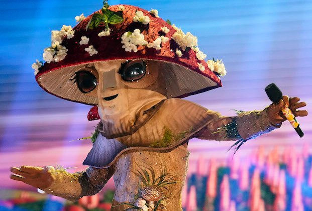 TV Ratings: The Masked Singer and Amazing Race End on High Notes