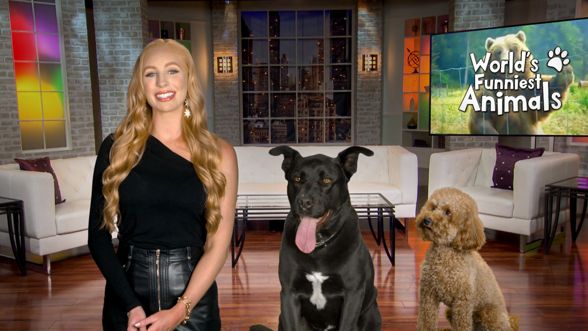 World’s Funniest Animals: Season Two Renewal for CW TV Series