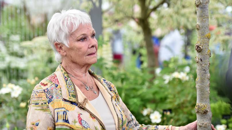 Dame Judi Dench Says She Feels ’39 And 6ft Tall’