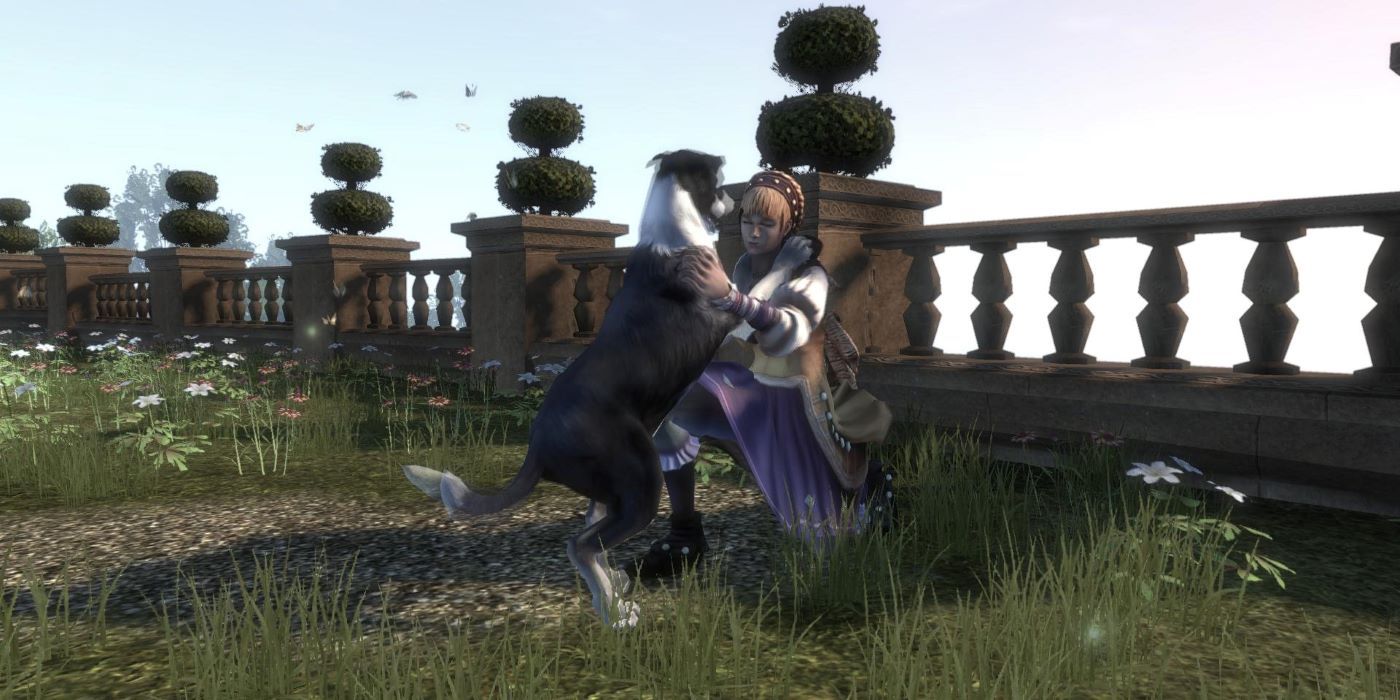 Forgotten Fable Promises That The New Xbox Series X Game Should Deliver