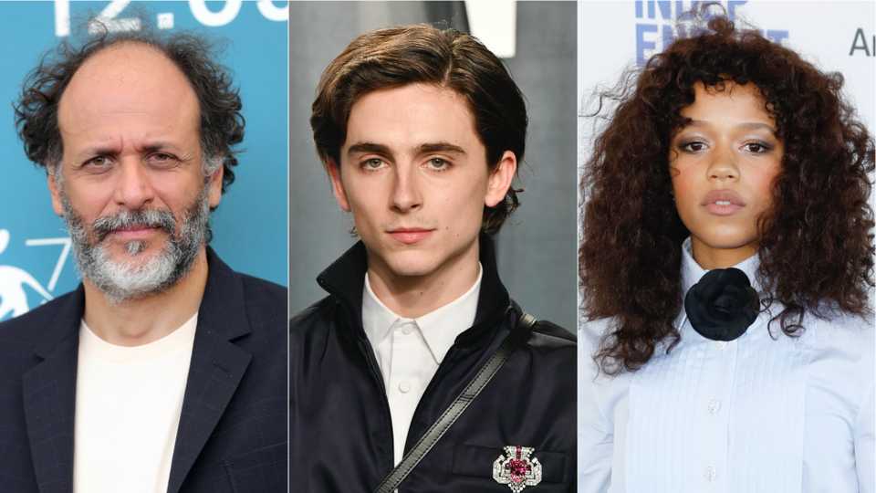 Luca Guadagnino Has Timothée Chalamet And Taylor Russell In Talks For New Film Bones And All