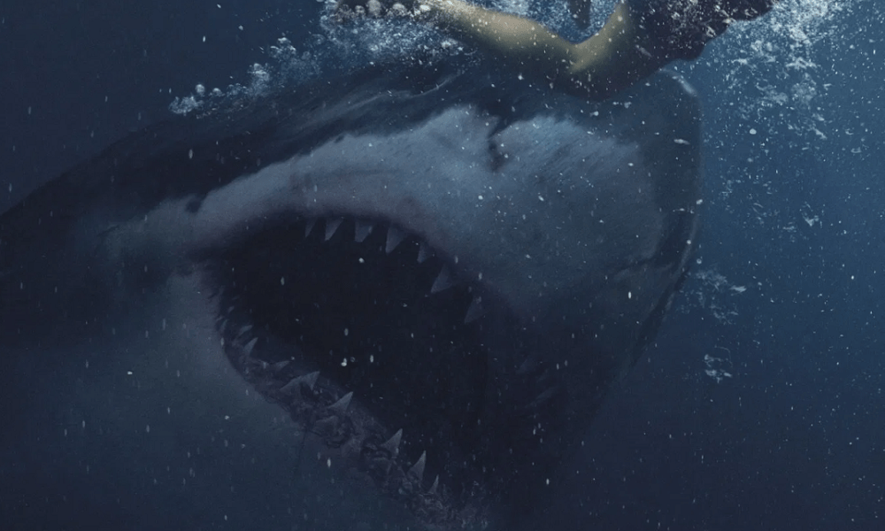 Take a Bite Out of First Footage from This Year’s Australian Shark Attack Horror Movie ‘Great White’