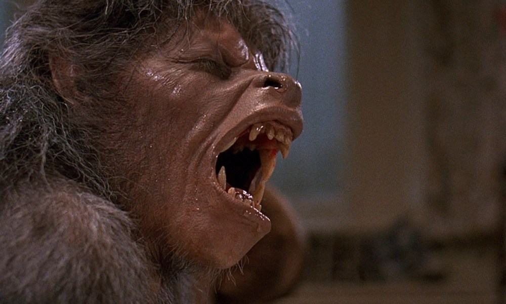 Full Moon Fever: The Werewolf Horror Movies of 1981