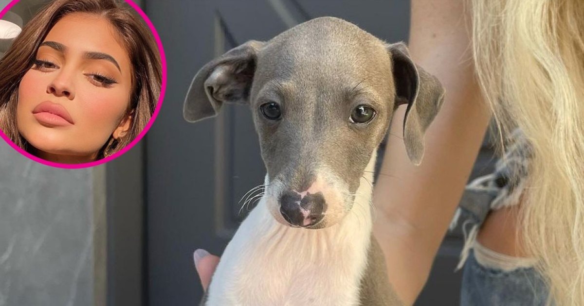 Kylie Jenner Shares Sweet Snaps of New Puppy Kevin: ‘My Son’