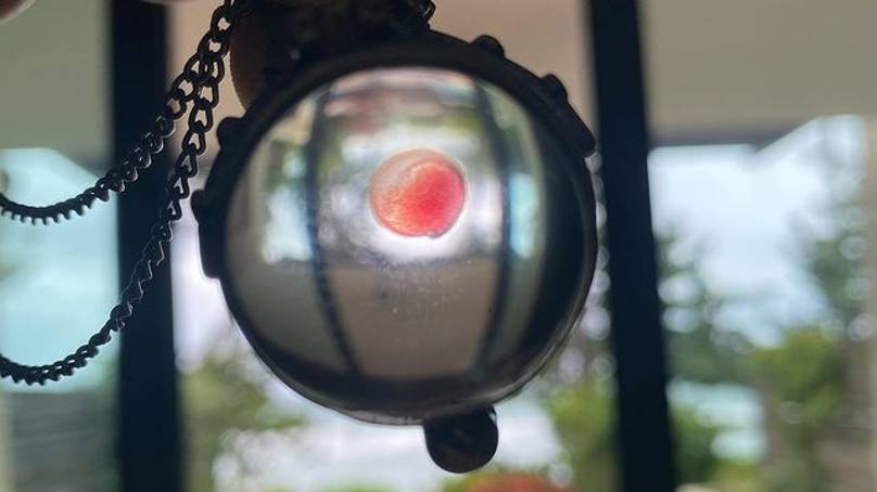 Machine Gun Kelly Wears A Drop Of Megan Fox’s Blood On A Necklace