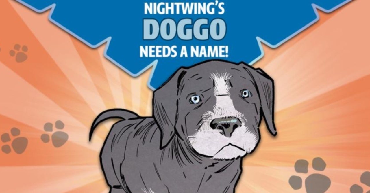 DC Is Letting Fans Vote on Nightwing’s Puppy’s Name
