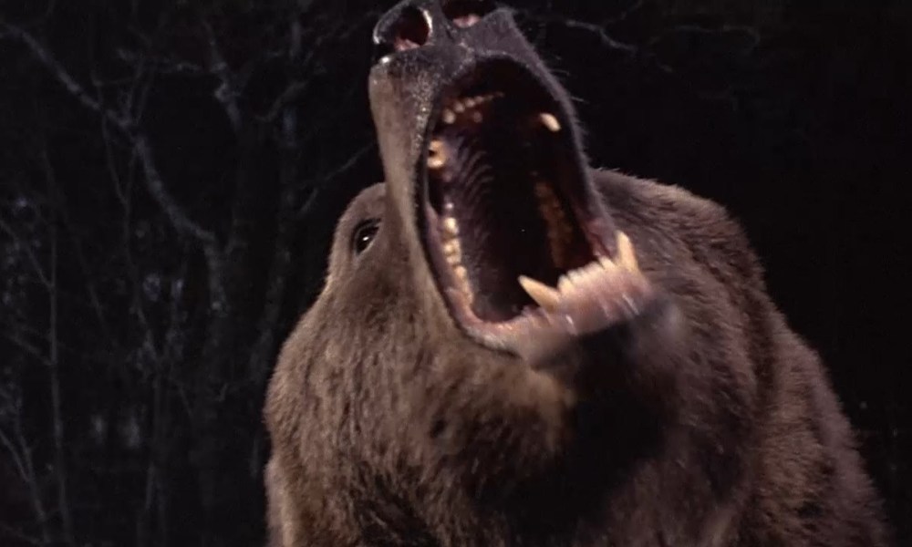 Elizabeth Banks Directing Thriller ‘Cocaine Bear’ Based On a Wild True Story from the 1980s