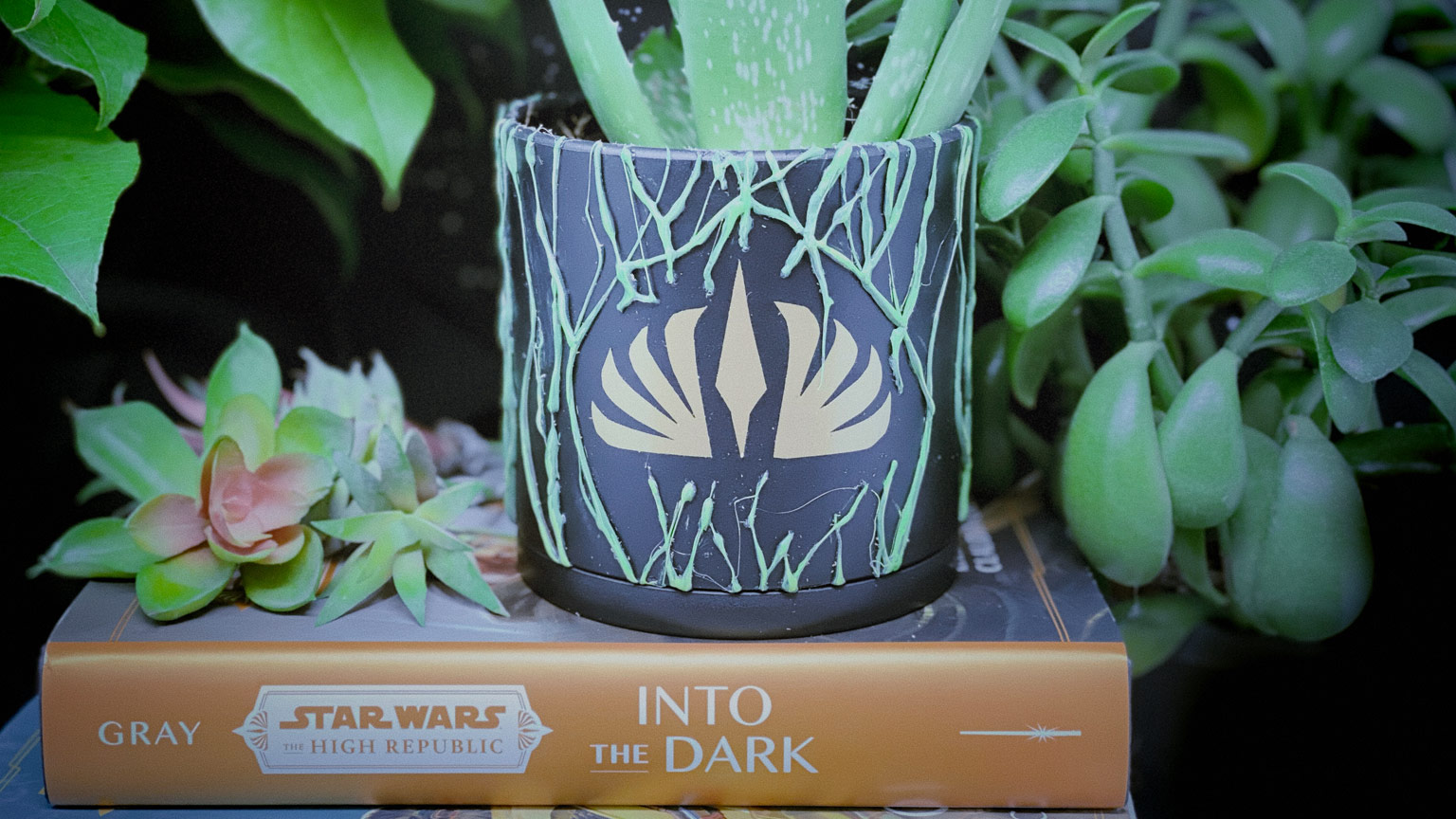 Get Your Vines on This DIY Drengir Planter