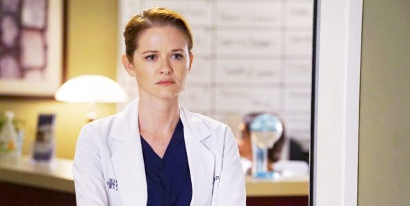 Grey’s Anatomy: Season 17; Another Former Cast Member to Return