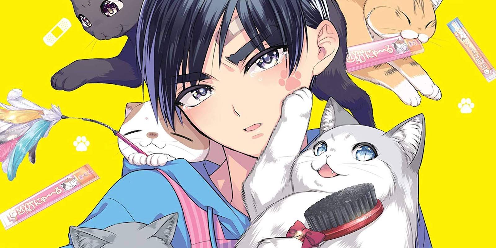 I’m the Catlord’s Manservant Vol. 1 Is a Decent Riff on Ouran – With Cats