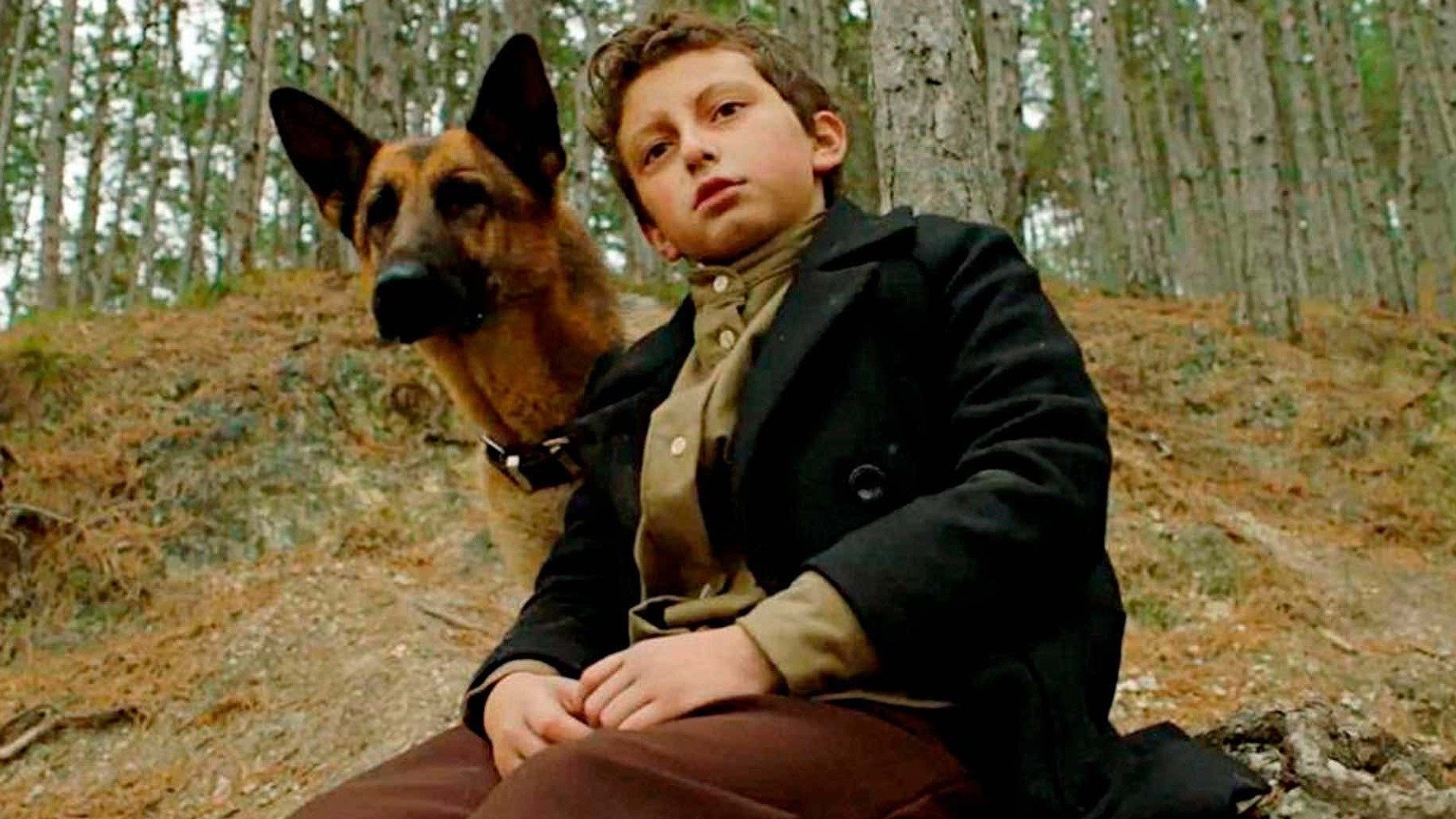 SHEPHERD: The Story of a Jewish Dog Ending Explained [SPOILER!]
