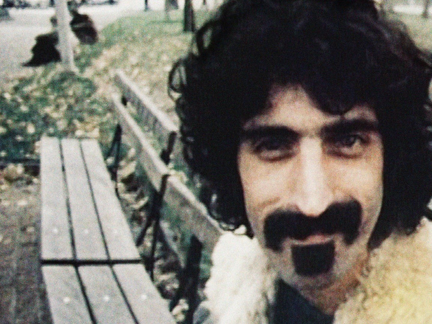 Zappa Ending Explained [SPOILER!]