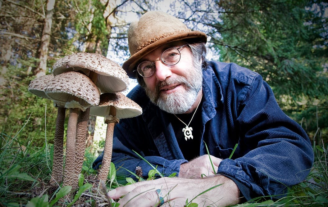 Fantastic Fungi Ending Explained [SPOILER!]