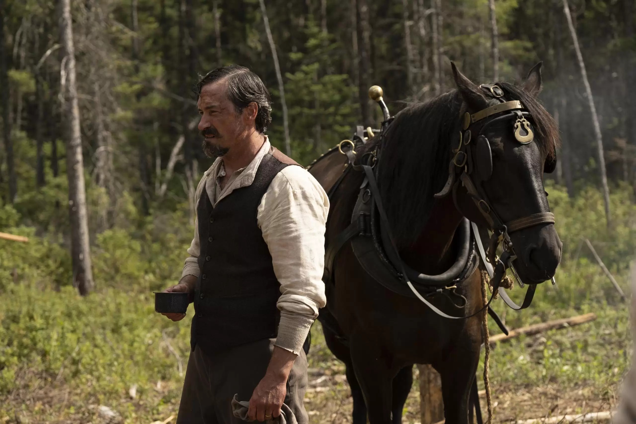 Maria Chapdelaine Ending Explained [SPOILER!]